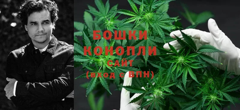 Канабис OG Kush  купить  цена  Курск 